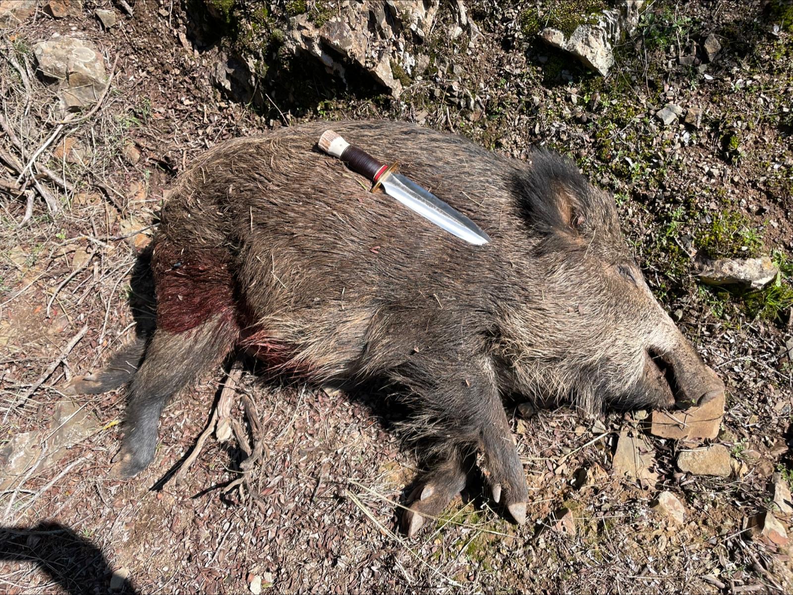 MC Knifemaker hunting knife in the field