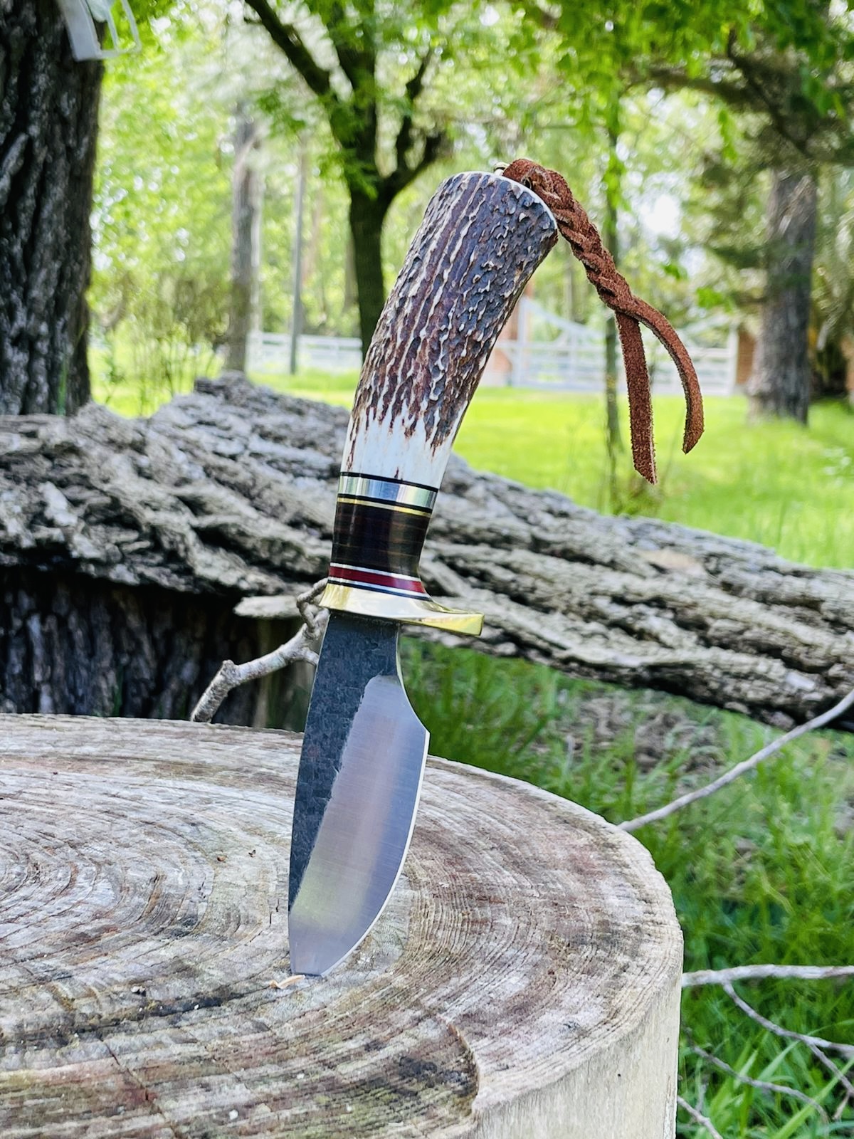 MC Knifemaker knife outdoors on a tree stump